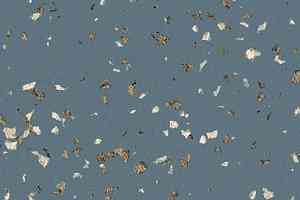 Линолеум Taralay Premium Poesy 88626 Rime фото  | FLOORDEALER